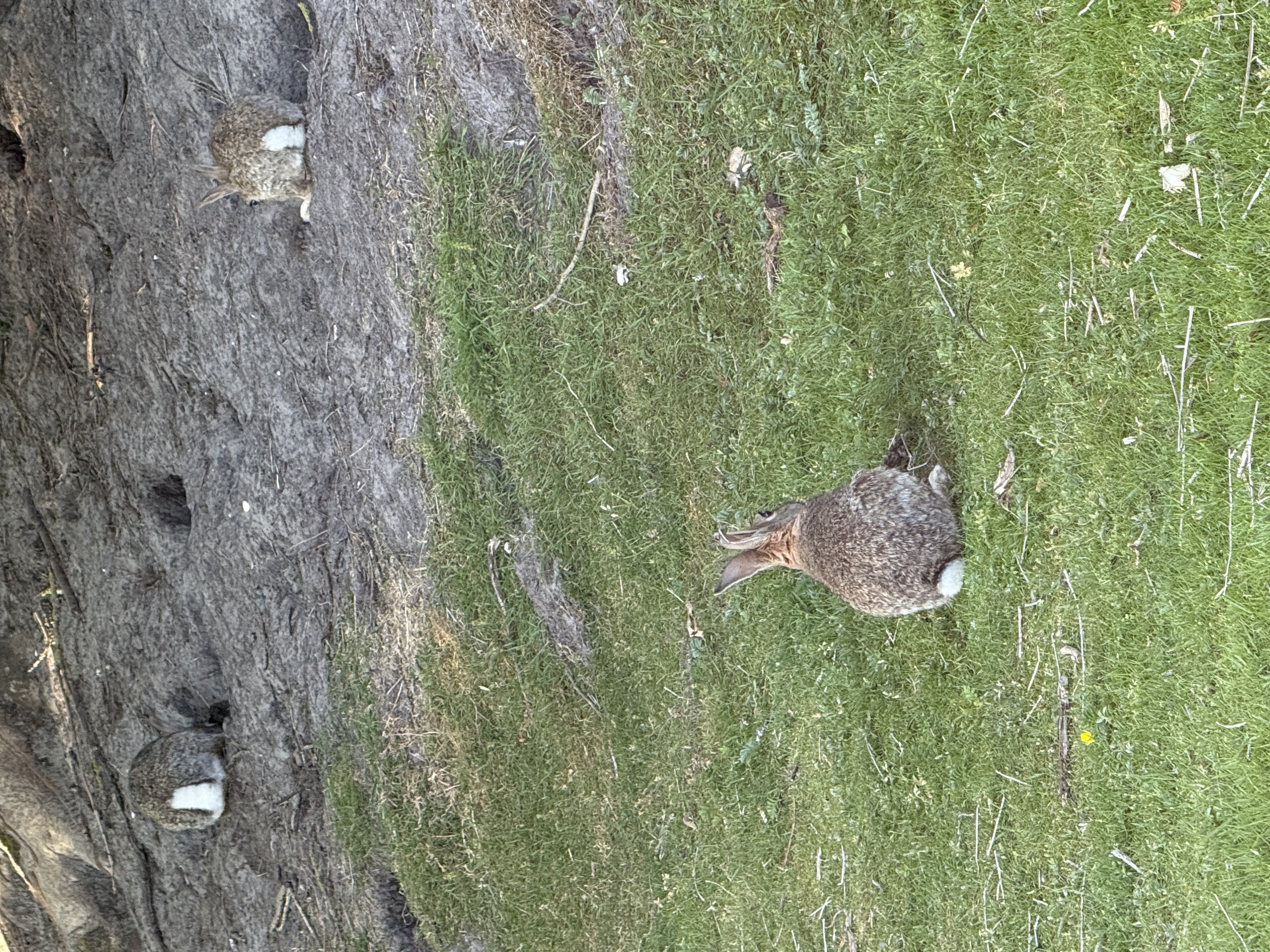 Indruk van Scheurrak 7 en omgeving 2